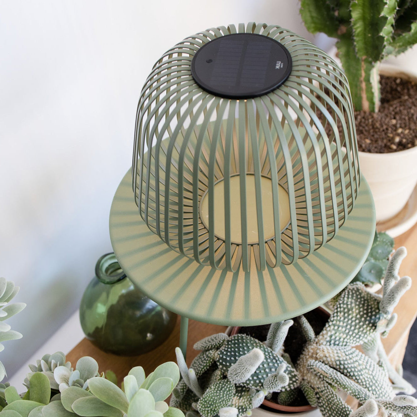 Solis Solarlampe grün auf rundem Wohnzimmertisch mit Zimmerpflanzen Deko.