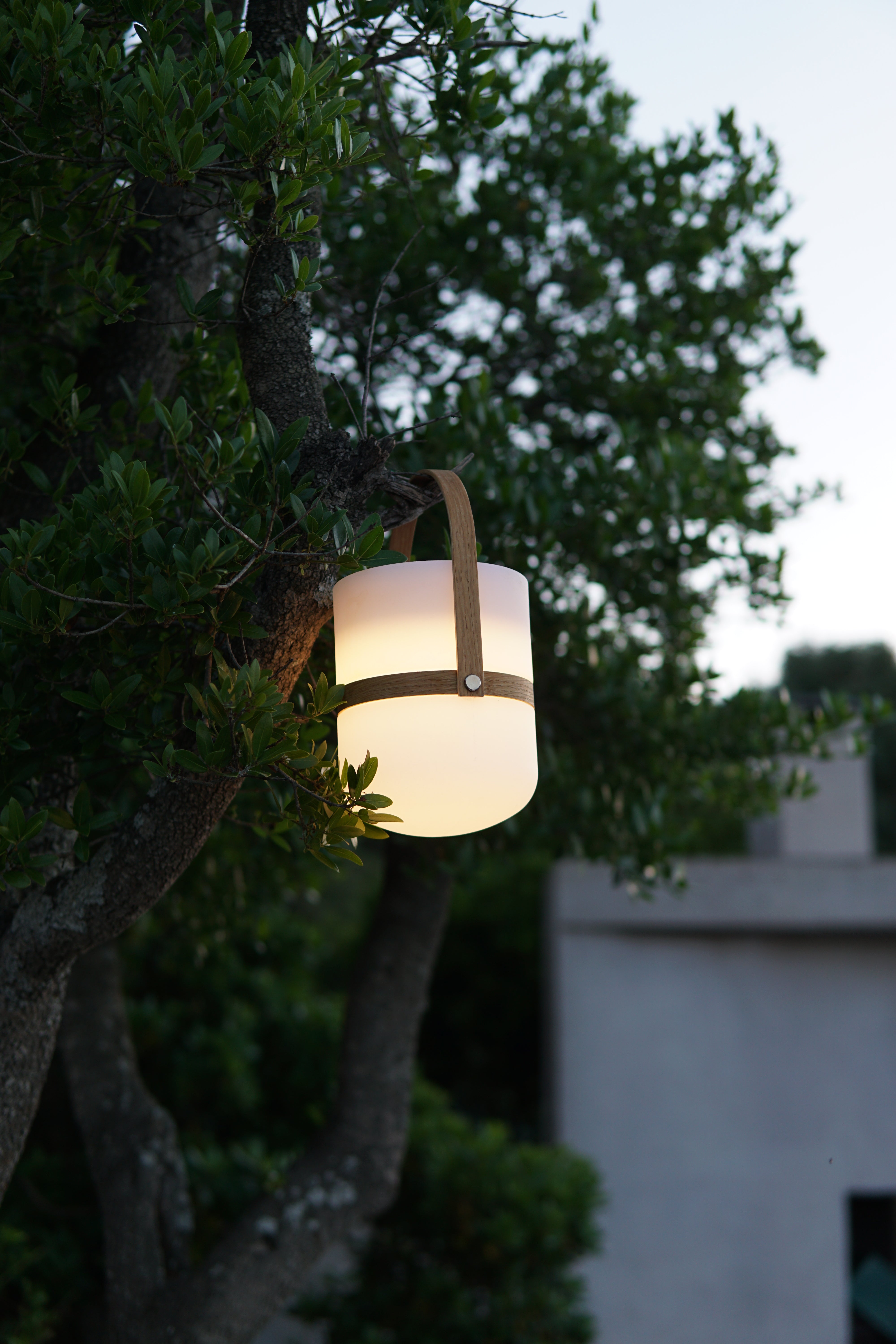 Minimalistische Luma LED Laterne in der Größe M hängt an einem Ast im Baum als Stimmungslicht in Abenddämmerung