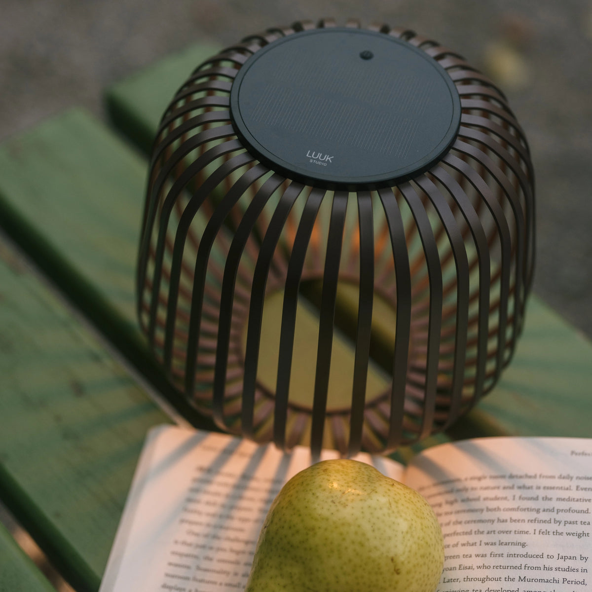 SOLIS Solarleuchte in Walnuss mit Schattenwurf auf Buch