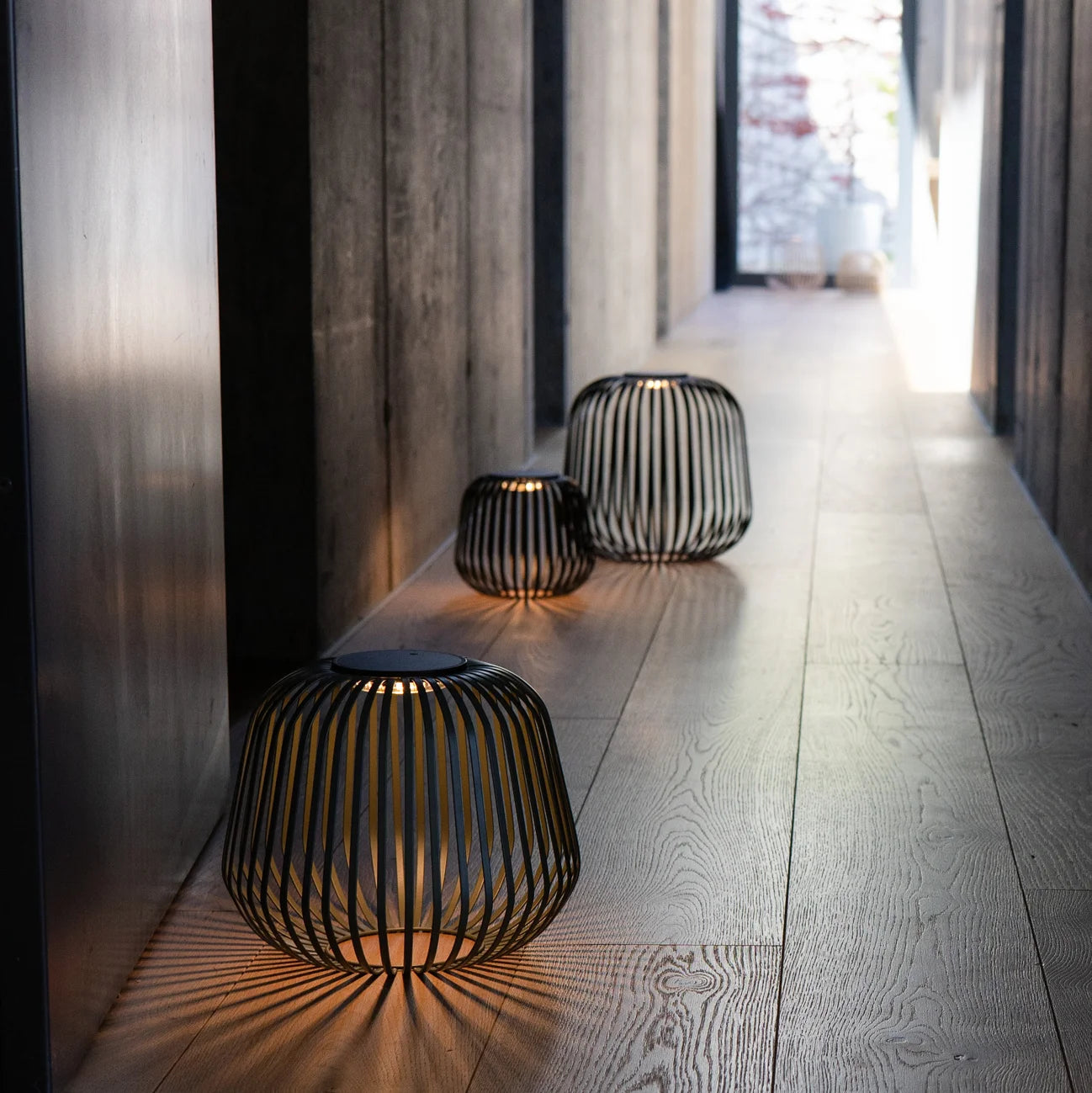 Drei Solarlaternen in Haselnuss, Schwarz und Grün erzeugen atmosphärisches Lichtspiel mit markanten Schatteneffekten – perfekte Akzentbeleuchtung für Garten, Terrasse oder Outdoor-Dinner