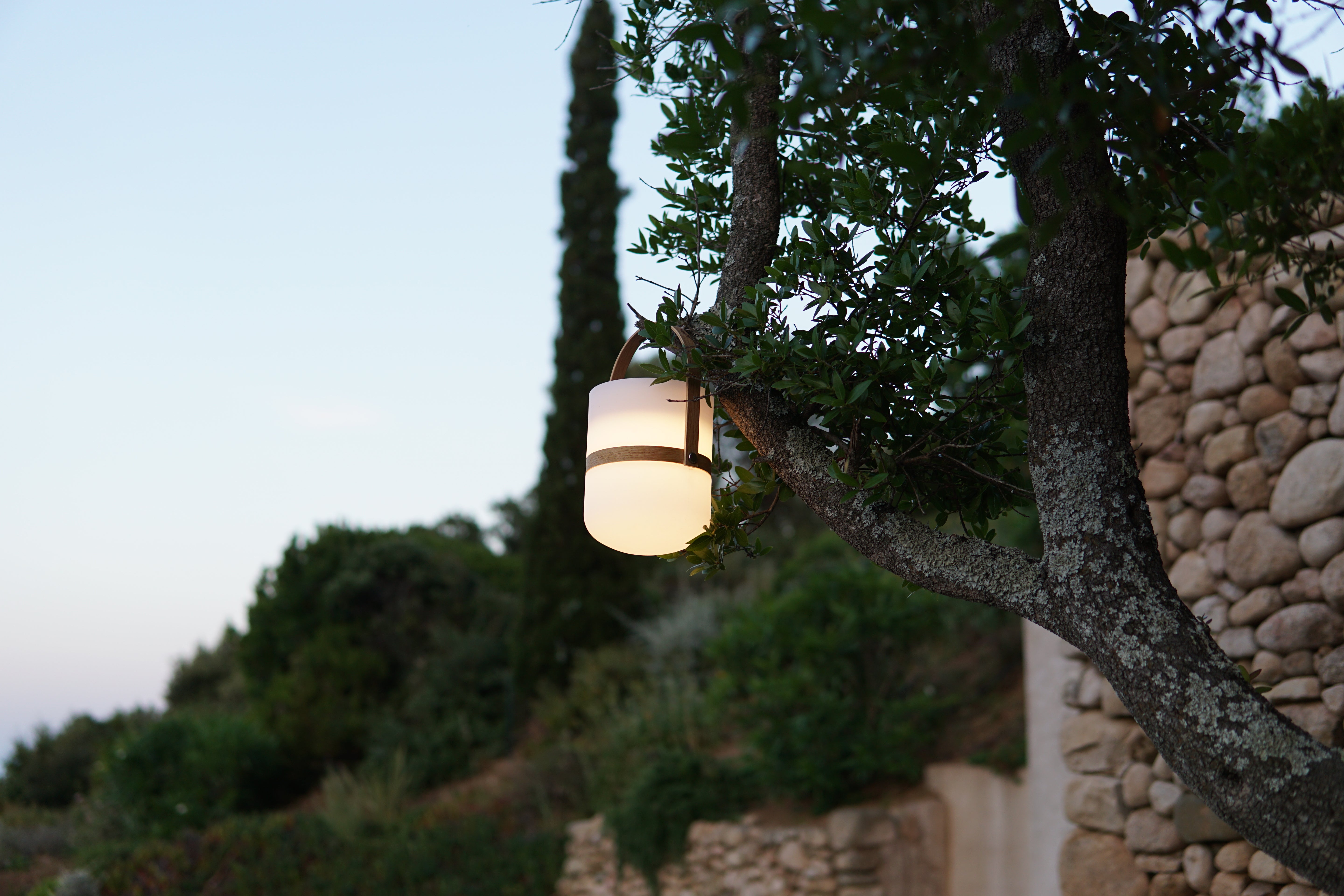 Die Luma Laterne in weiß hängt leuchtend als stimmungsvolle Lichtquelle in einem Olivenbaum in einem mediterranem Garten.  